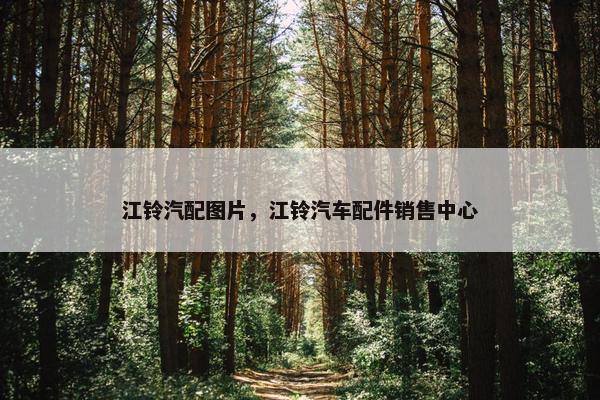 江铃汽配图片，江铃汽车配件销售中心