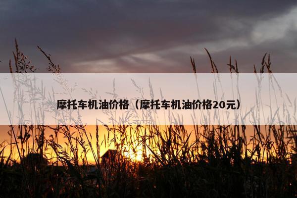 摩托车机油价格（摩托车机油价格20元）