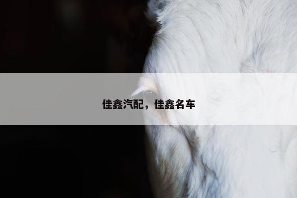 佳鑫汽配，佳鑫名车