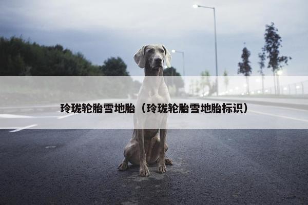玲珑轮胎雪地胎（玲珑轮胎雪地胎标识）