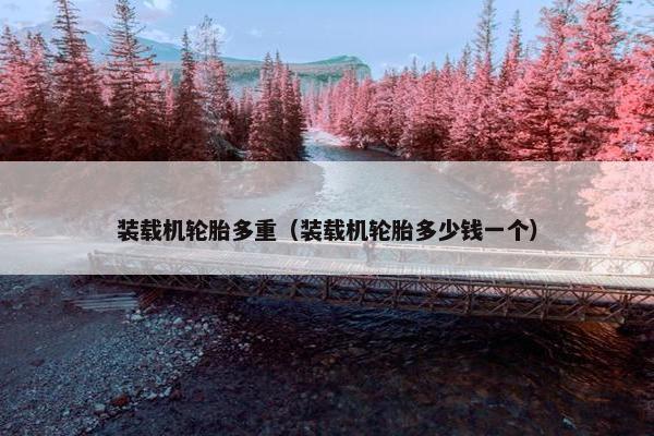 装载机轮胎多重（装载机轮胎多少钱一个）