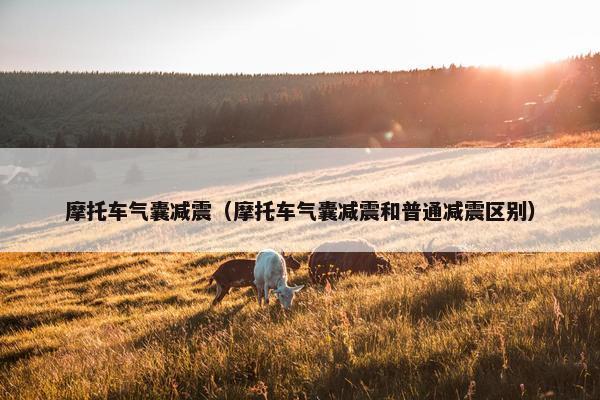 摩托车气囊减震（摩托车气囊减震和普通减震区别）