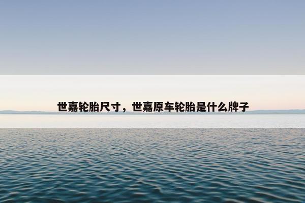 世嘉轮胎尺寸，世嘉原车轮胎是什么牌子