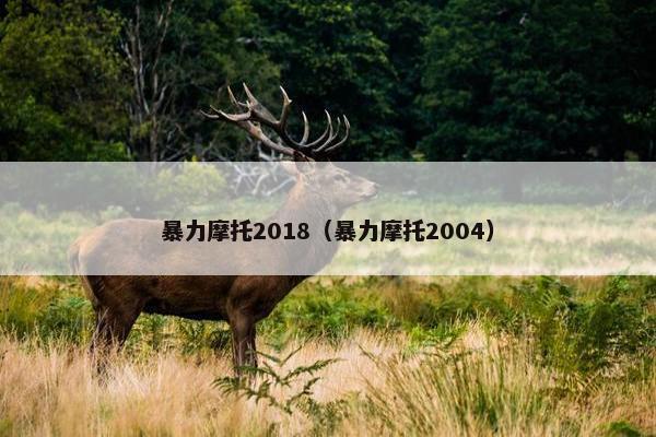 暴力摩托2018（暴力摩托2004）