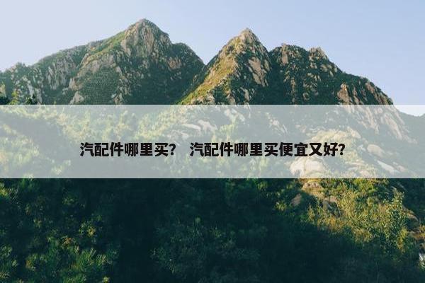 汽配件哪里买？ 汽配件哪里买便宜又好？