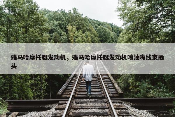 雅马哈摩托艇发动机，雅马哈摩托艇发动机喷油嘴线束插头