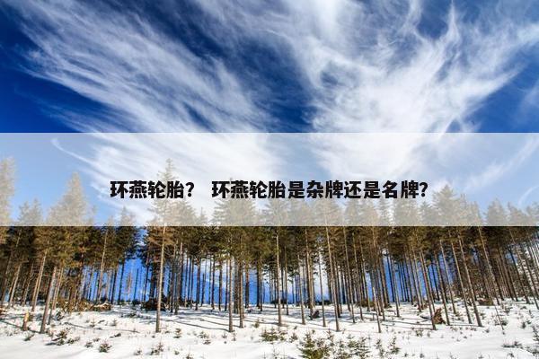 环燕轮胎？ 环燕轮胎是杂牌还是名牌？