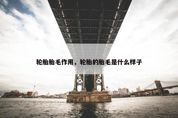 轮胎胎毛作用，轮胎的胎毛是什么样子