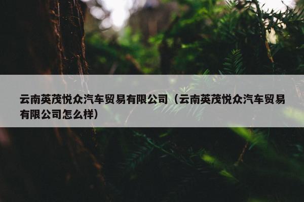 云南英茂悦众汽车贸易有限公司（云南英茂悦众汽车贸易有限公司怎么样）