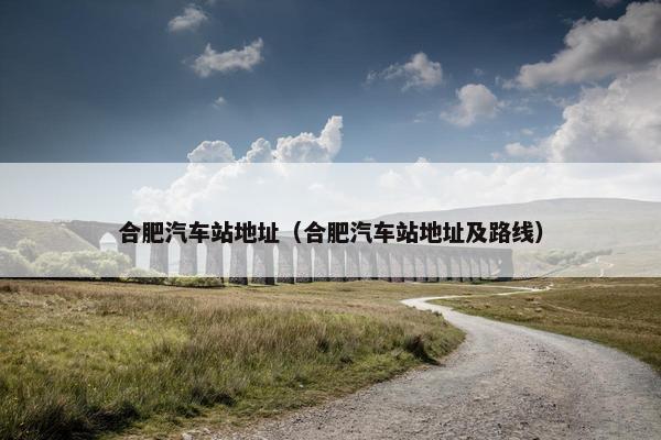 合肥汽车站地址（合肥汽车站地址及路线）