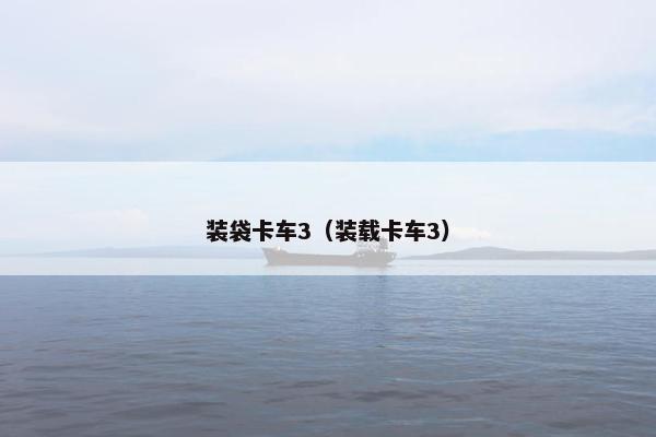 装袋卡车3（装载卡车3）
