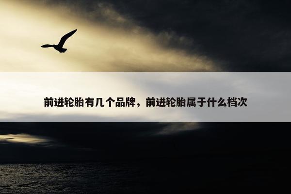前进轮胎有几个品牌，前进轮胎属于什么档次