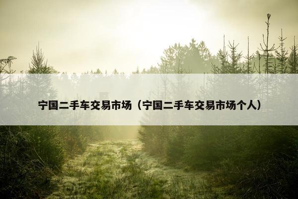 宁国二手车交易市场（宁国二手车交易市场个人）