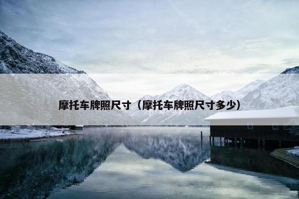 摩托车牌照尺寸（摩托车牌照尺寸多少）