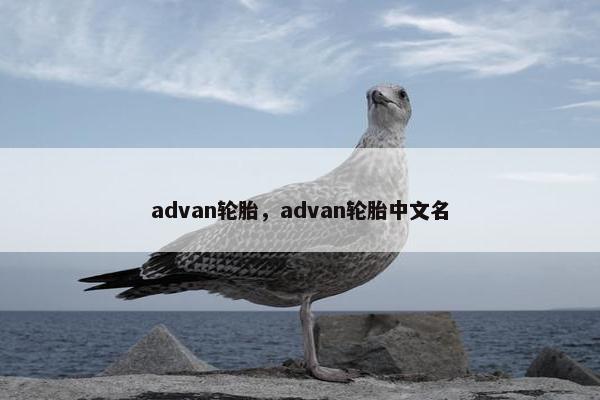 advan轮胎，advan轮胎中文名