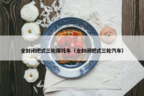 全封闭把式三轮摩托车（全封闭把式三轮汽车）
