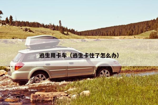 逃生用卡车（逃生卡住了怎么办）