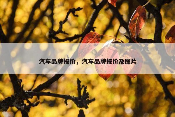 汽车品牌报价，汽车品牌报价及图片