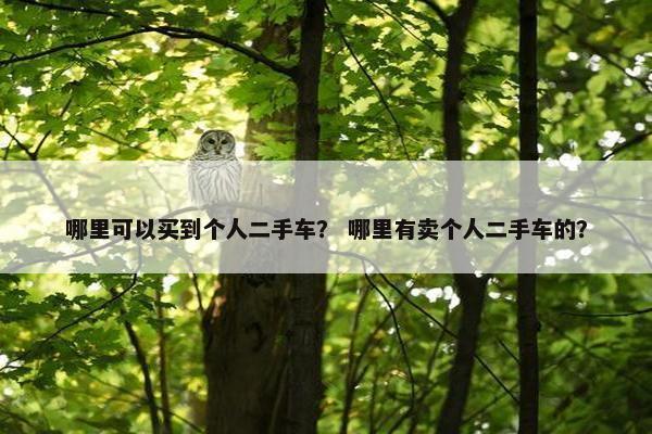 哪里可以买到个人二手车？ 哪里有卖个人二手车的？