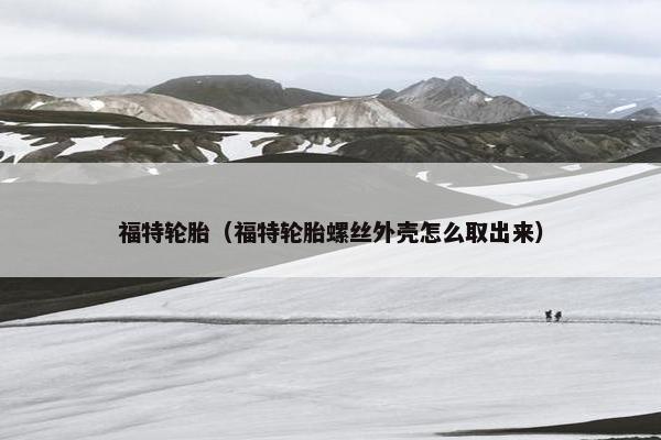 福特轮胎（福特轮胎螺丝外壳怎么取出来）