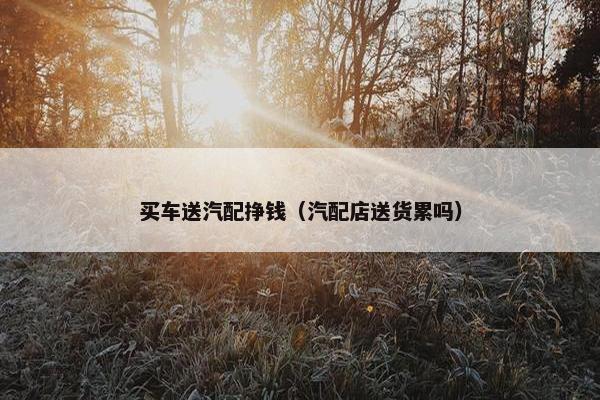 买车送汽配挣钱（汽配店送货累吗）