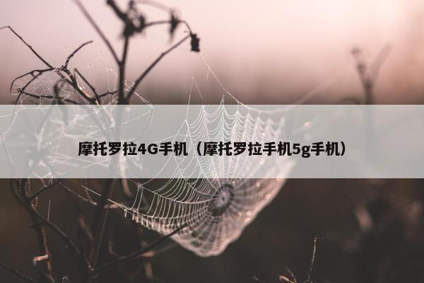 摩托罗拉4G手机（摩托罗拉手机5g手机）