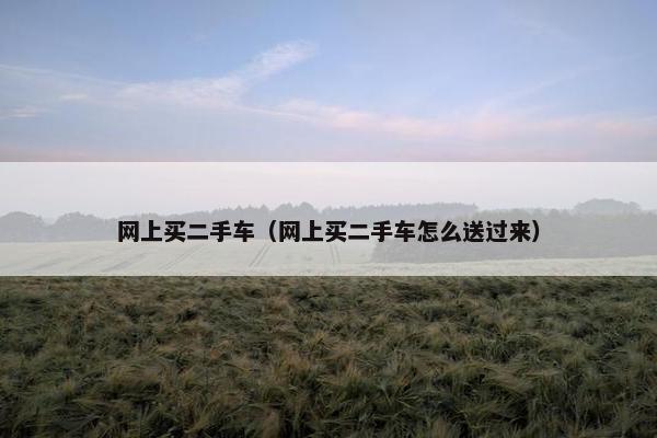 网上买二手车（网上买二手车怎么送过来）