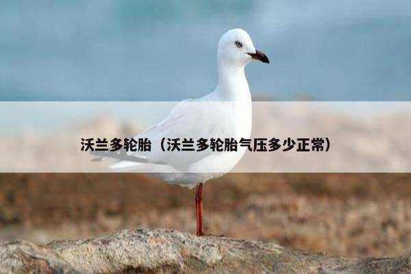 沃兰多轮胎（沃兰多轮胎气压多少正常）