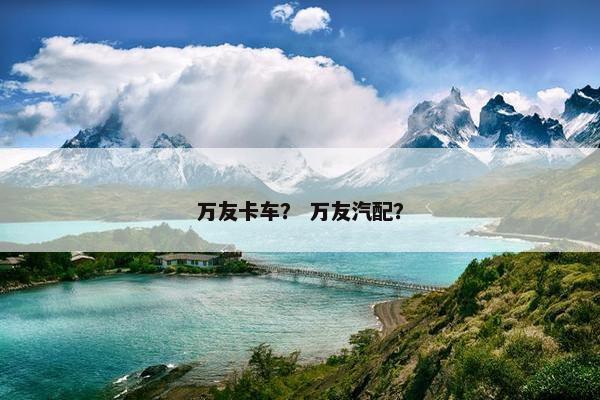 万友卡车？ 万友汽配？