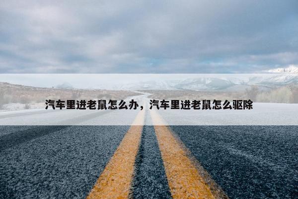 汽车里进老鼠怎么办，汽车里进老鼠怎么驱除