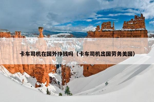 卡车司机在国外挣钱吗（卡车司机出国劳务美国）