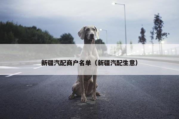 新疆汽配商户名单（新疆汽配生意）