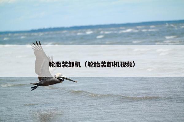 轮胎装卸机（轮胎装卸机视频）