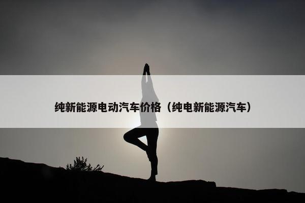 纯新能源电动汽车价格（纯电新能源汽车）