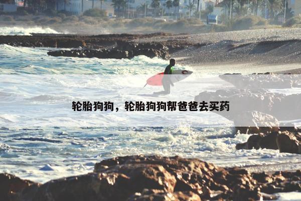 轮胎狗狗，轮胎狗狗帮爸爸去买药