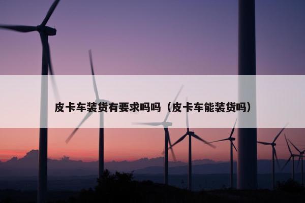 皮卡车装货有要求吗吗（皮卡车能装货吗）