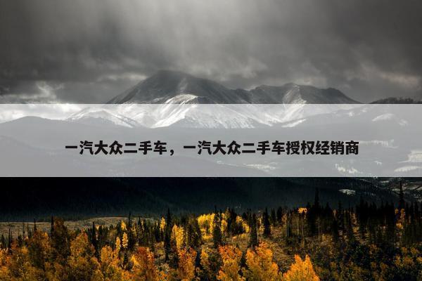 一汽大众二手车，一汽大众二手车授权经销商