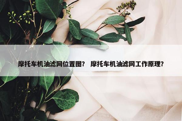 摩托车机油滤网位置图？ 摩托车机油滤网工作原理？