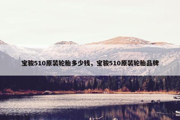 宝骏510原装轮胎多少钱，宝骏510原装轮胎品牌