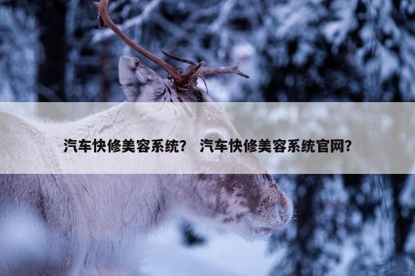 汽车快修美容系统？ 汽车快修美容系统官网？