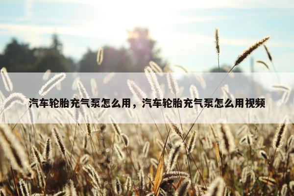 汽车轮胎充气泵怎么用，汽车轮胎充气泵怎么用视频