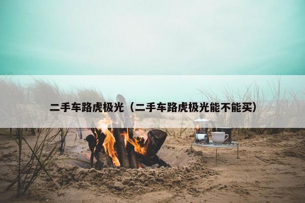 二手车路虎极光（二手车路虎极光能不能买）