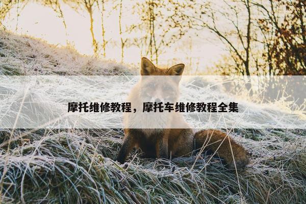 摩托维修教程，摩托车维修教程全集