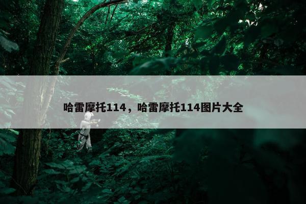 哈雷摩托114，哈雷摩托114图片大全