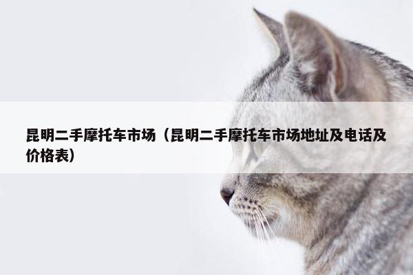 昆明二手摩托车市场（昆明二手摩托车市场地址及电话及价格表）