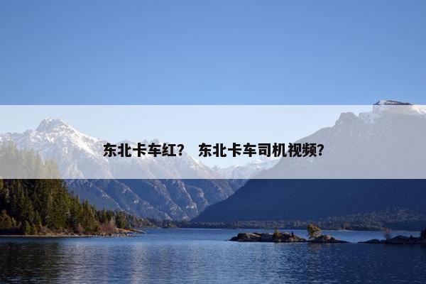 东北卡车红？ 东北卡车司机视频？