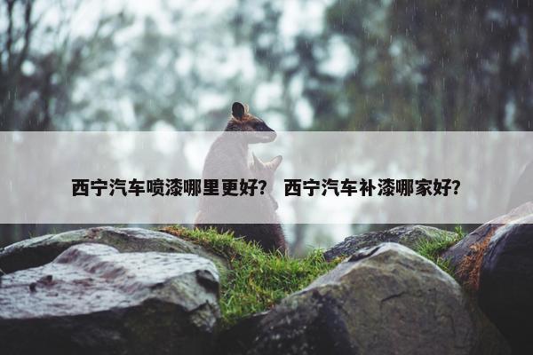 西宁汽车喷漆哪里更好？ 西宁汽车补漆哪家好？