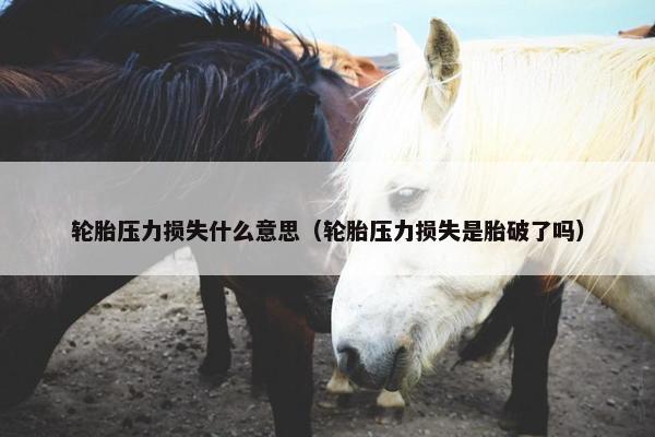 轮胎压力损失什么意思（轮胎压力损失是胎破了吗）