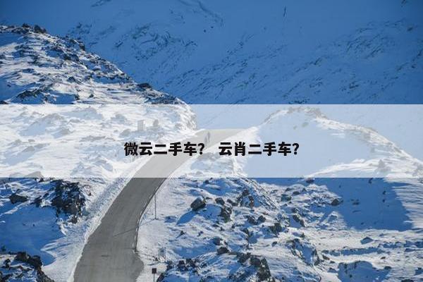 微云二手车？ 云肖二手车？