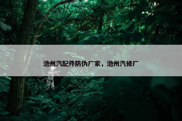池州汽配件防伪厂家，池州汽修厂